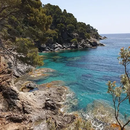 Vila L'arbanaise Vue Piscine Presqu'ile Giens By Hc Hyères