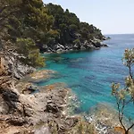 فيلة L'arbanaise Vue Piscine Presqu'ile Giens By Hc Hyères