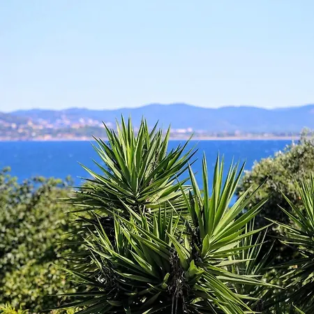 L'arbanaise Vue Piscine Presqu'ile Giens By Hc Villa *