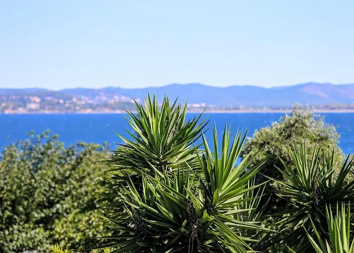 L'arbanaise Vue Piscine Presqu'ile Giens By Hc Villa *