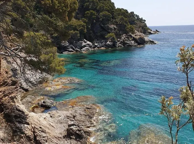 Villa L'arbanaise Vue Piscine Presqu'ile Giens By Hc Hyères
