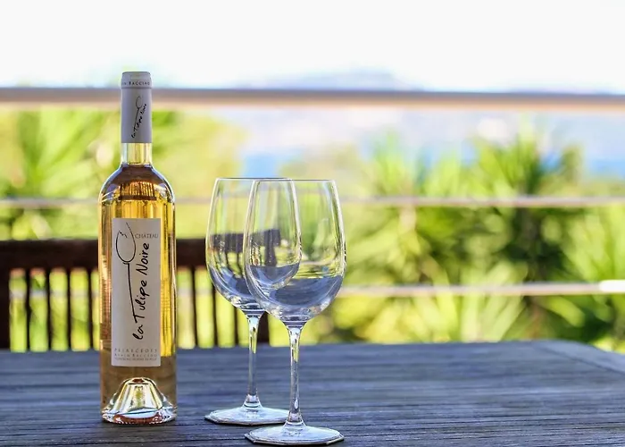 L'arbanaise Vue Piscine Presqu'ile Giens By Hc וילה הייר